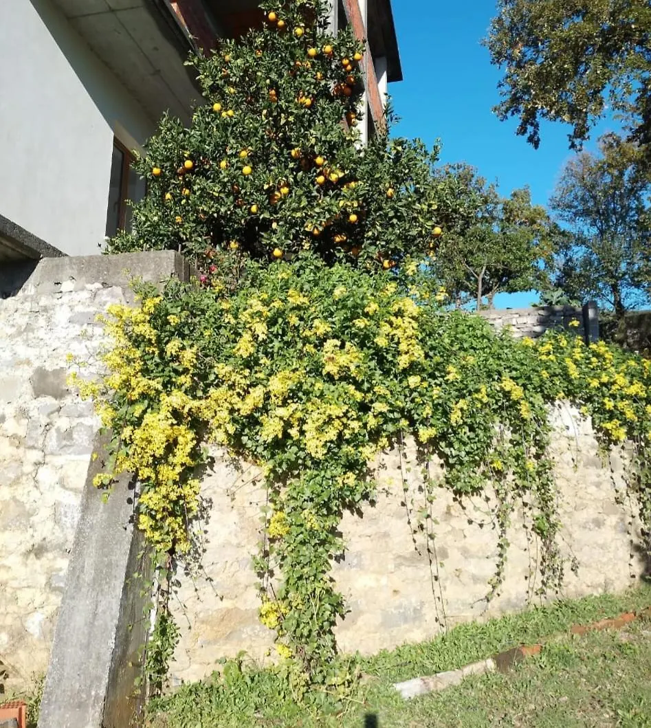 Appartamento Merqi Lezhe