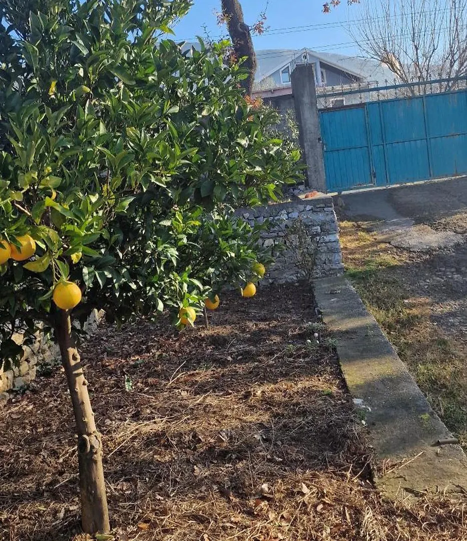 Appartamento Merqi Lezhe Holiday home
